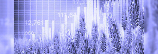 Soft Commodities