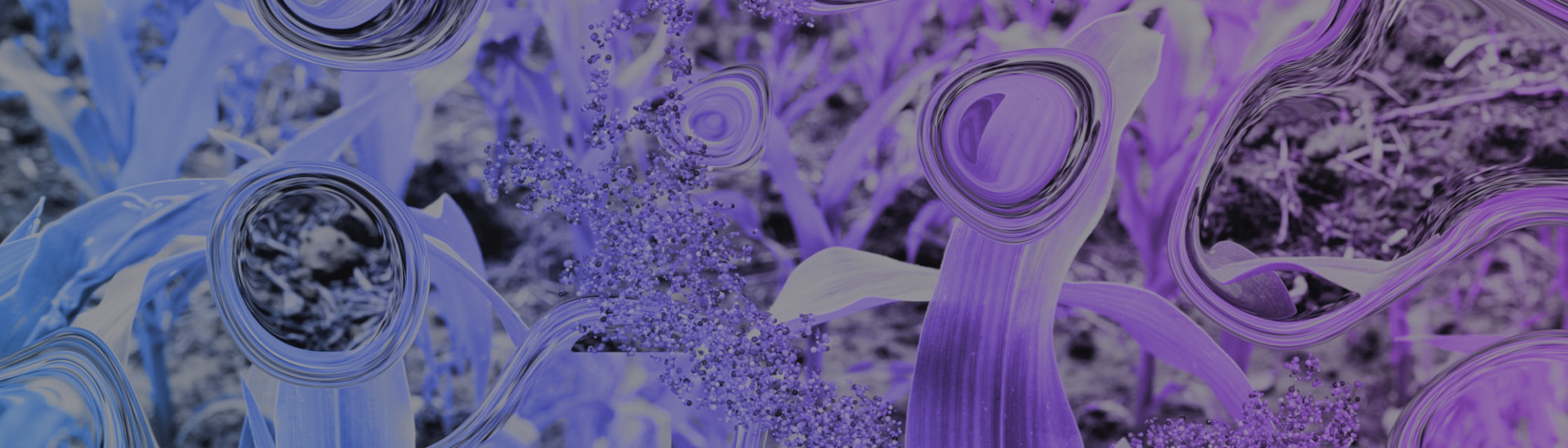 Deal Recap-Human-in-the-Loop